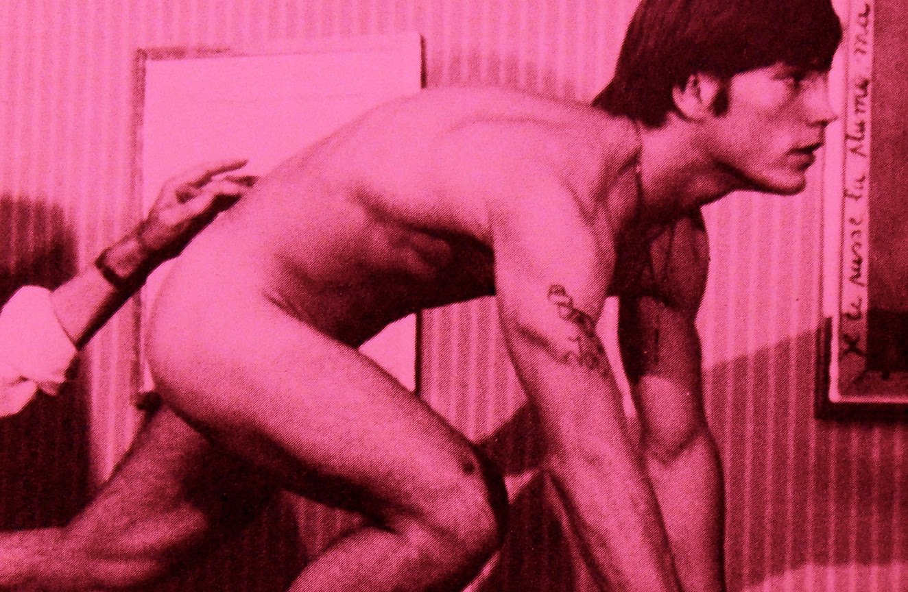 VAN DAME DESNUDO van dame desnudo: