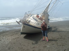 A Shipwreck, right behind our Condo.