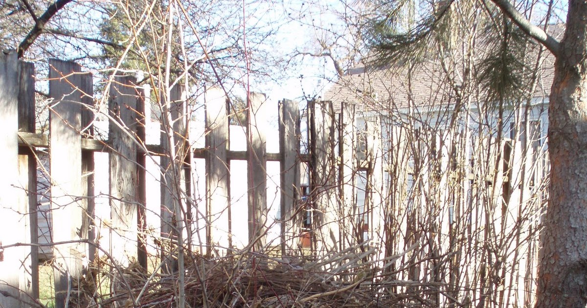Montana Wildlife Gardener Build a brush pile for wildlife