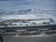 Idaho Cattle Ranch