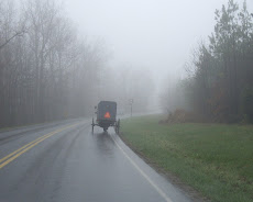 Amish Conveyance in Shenandoah Valley