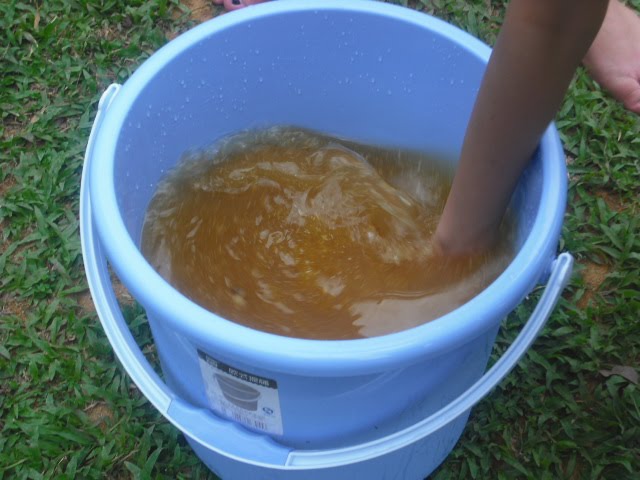 [DSCF1069.JPG]