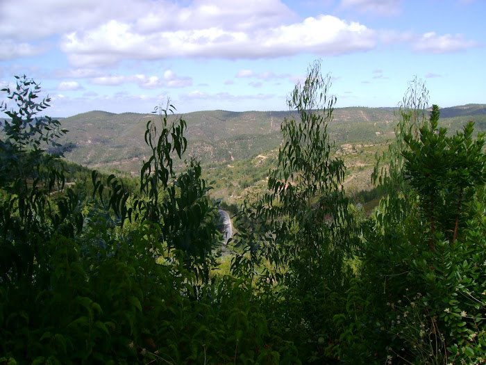 PAISAGEM RURAL DO INTERIOR