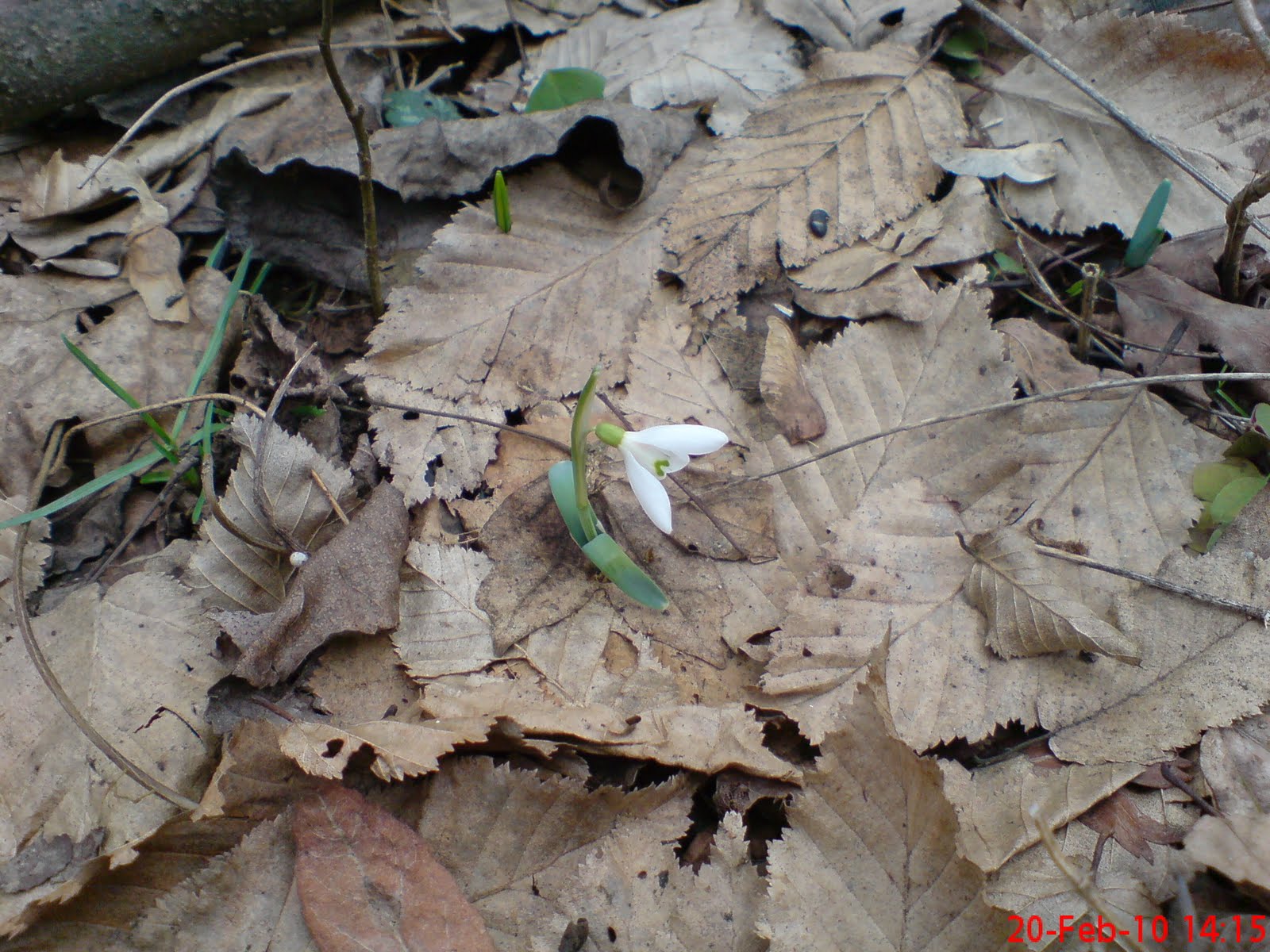 [DSC00040.JPG]