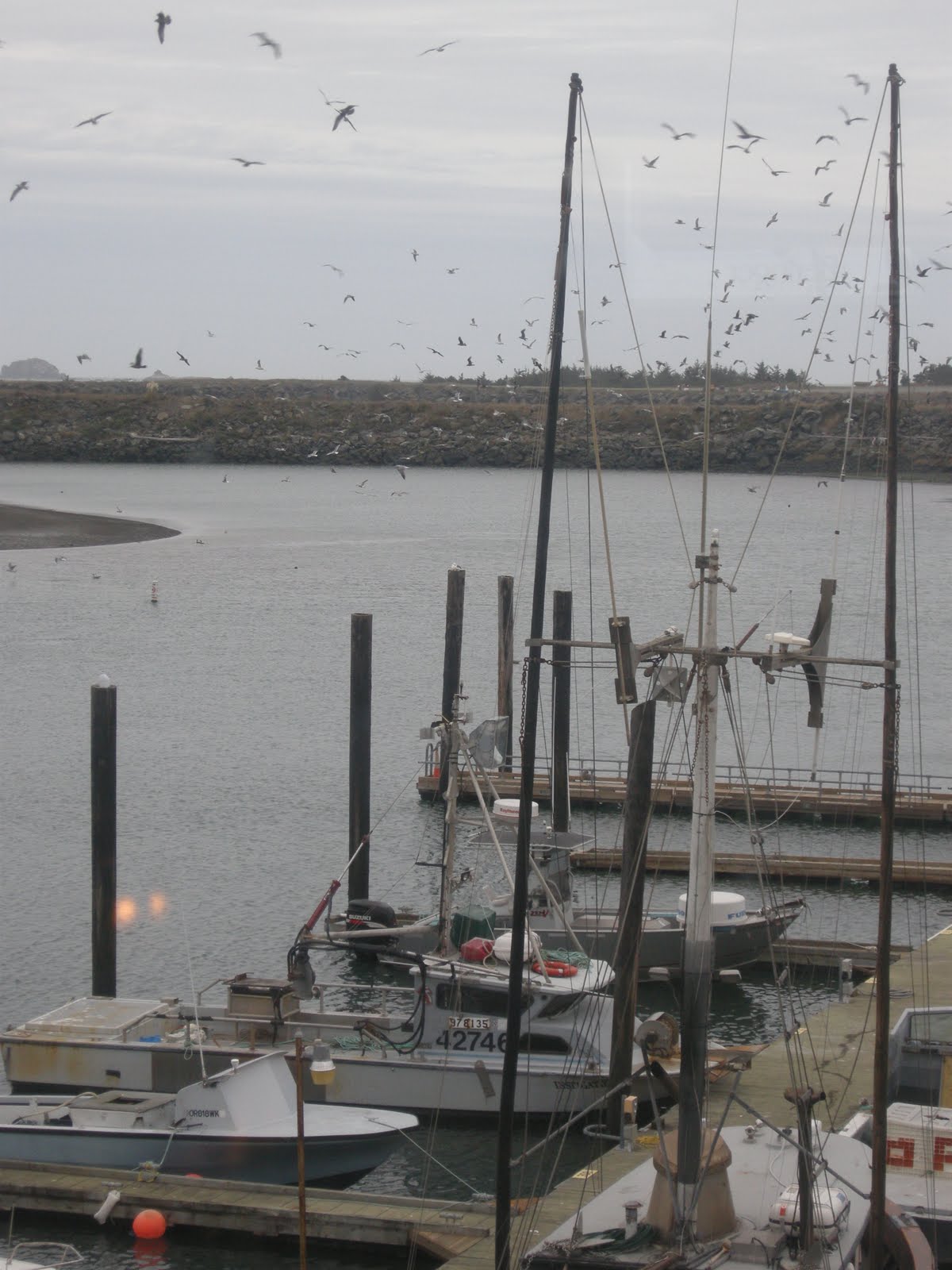 Kitchens Are Monkey Business October 8. Dinner In Gold Beach, Oregon, At Nor'wester Steak