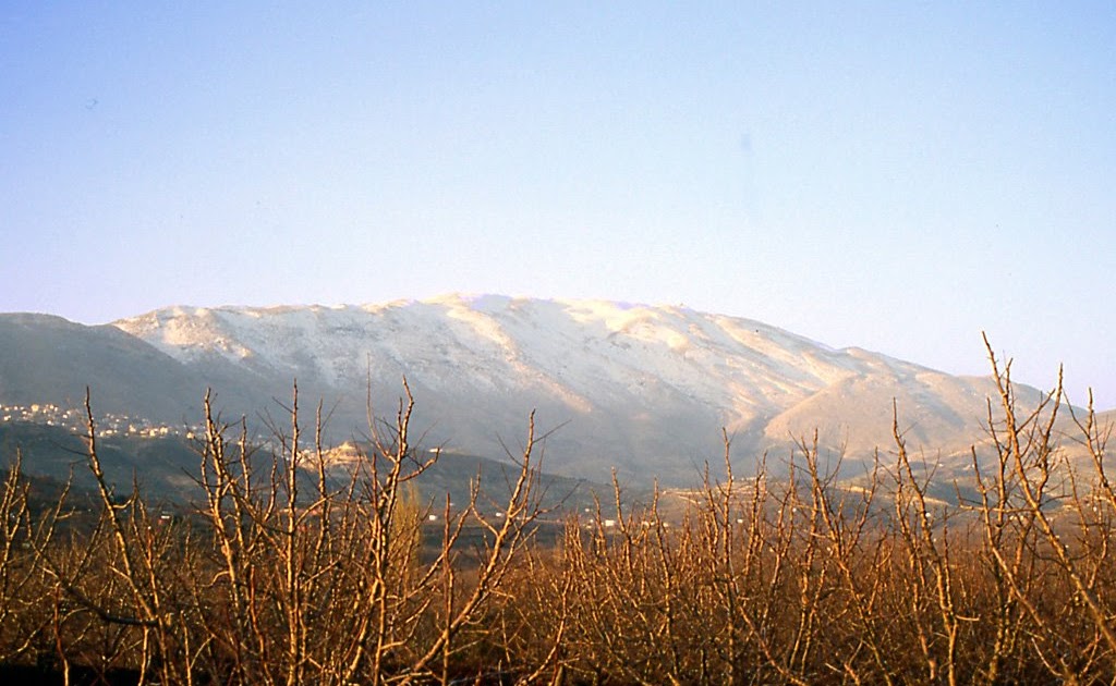 Dew of Hermon BACK TO THE MOUNTAIN