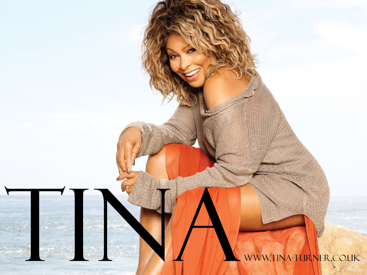 http://3.bp.blogspot.com/_nA7nCNVinAY/TTOFyW-8GQI/AAAAAAAAAd0/GpHNnTmMhF4/s1600/tina-turner-w0050.jpg