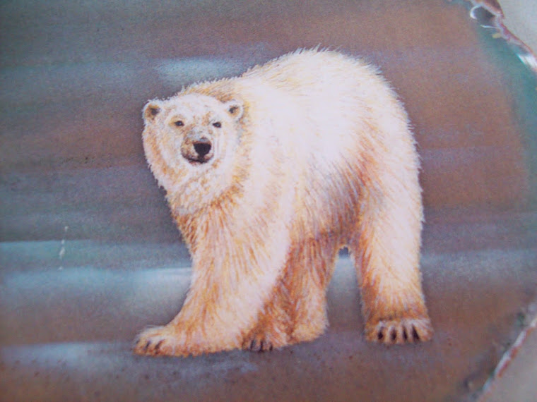 Polar bear, detail.