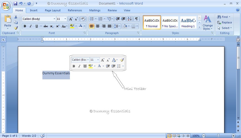 Dummy Essentials Remove "Mini Toolbar" in MS Word 2007