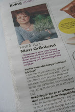 Intervju om min blogg i Metro Living...