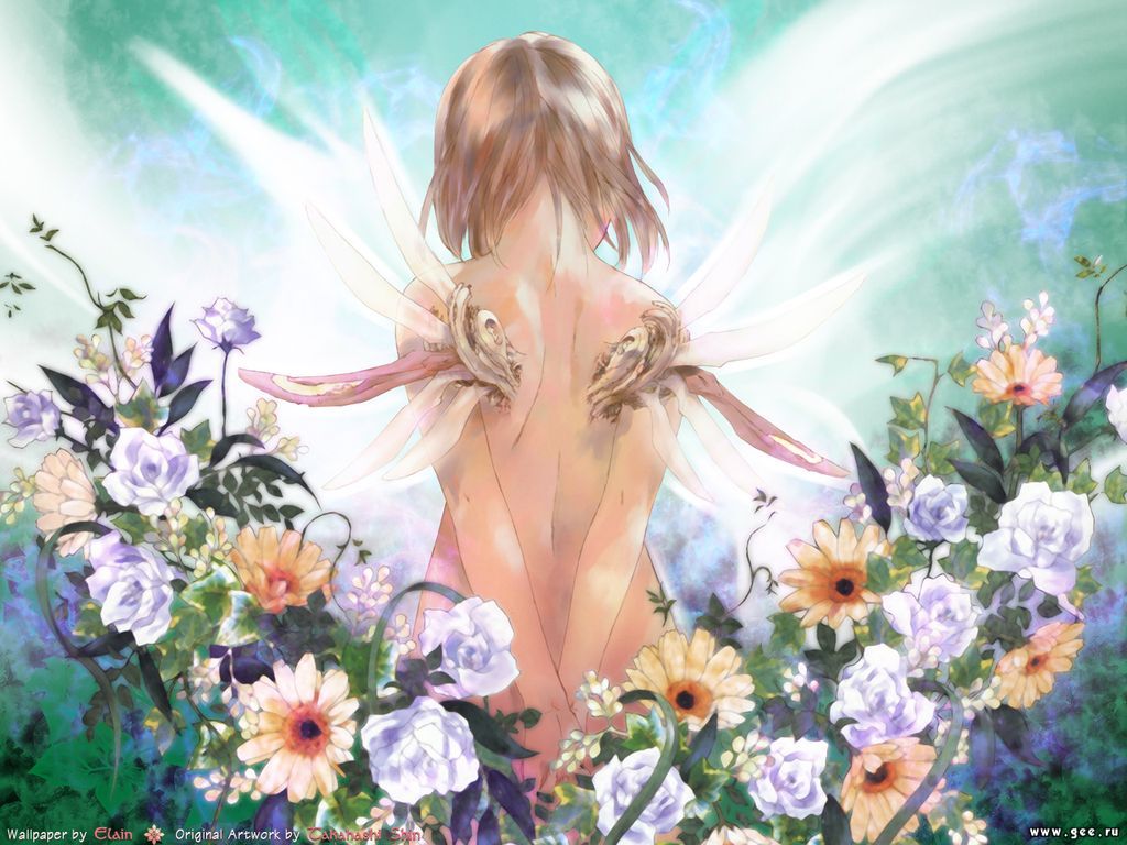 http://3.bp.blogspot.com/_nCJ1qD86fL8/TB-boTWIiuI/AAAAAAAABts/sysXyvnAkJs/s1600/Konachan_com%2520-%252026805%2520saishuu_heiki_kanojo%2520takahashi_shin.jpg