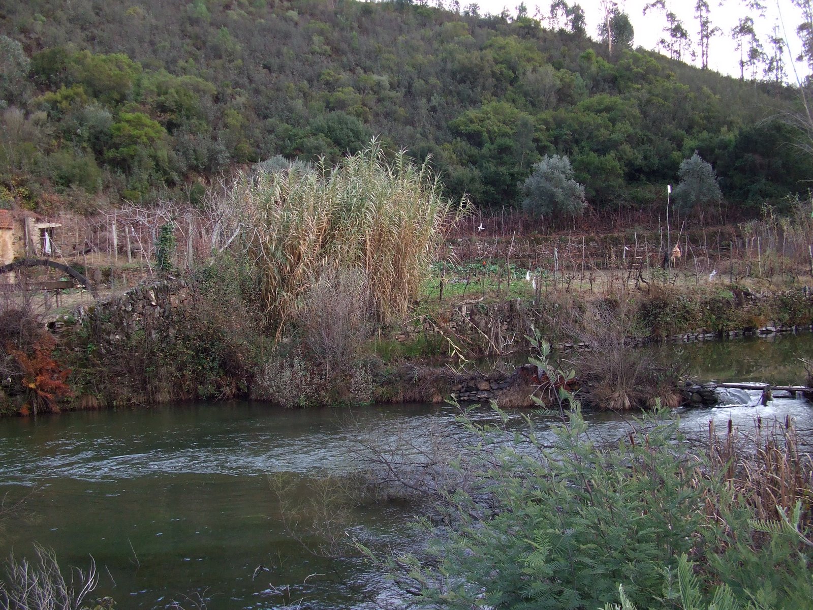[DSCF5061.JPG]