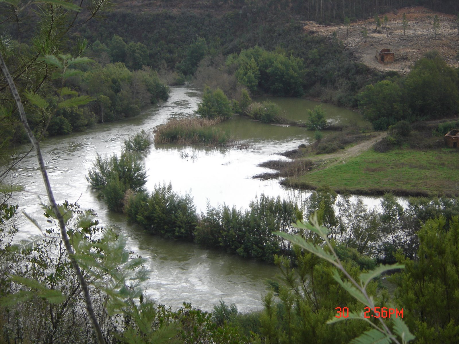 [DSC04459.JPG]