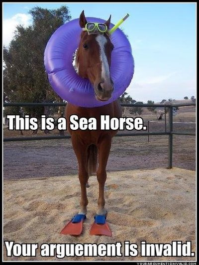 Sea+Horse.jpg