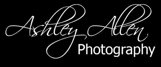 Ashley Allen Photography Blog