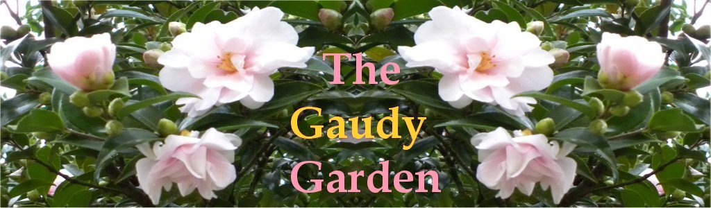 The Gaudy Garden