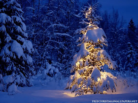 Christmas Tree Wallpapers