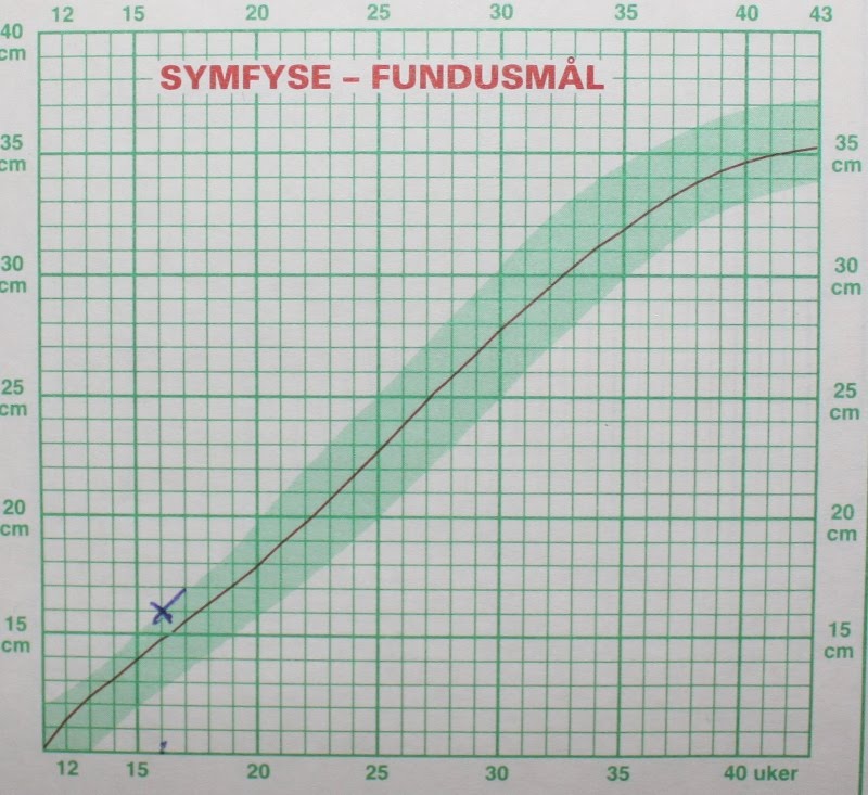 Emilie, den umulige mammaen januar 2011
