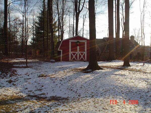 A snowy day last winter