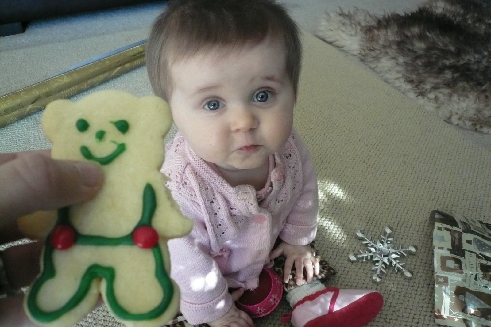 [Christmas+08+014.JPG]