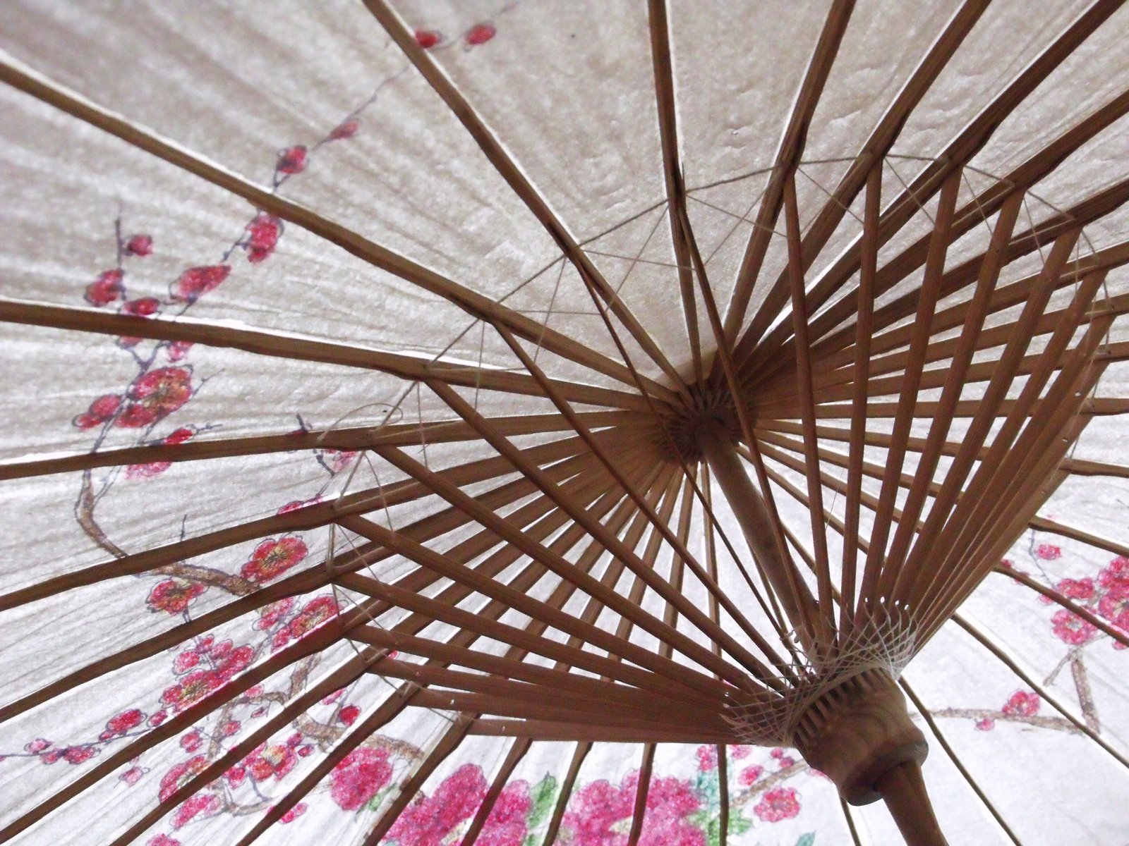 [swimming+with+dad+025.JPG]