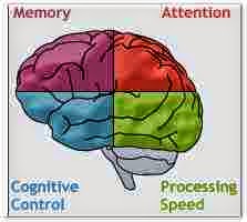 [lumosity.jpg]