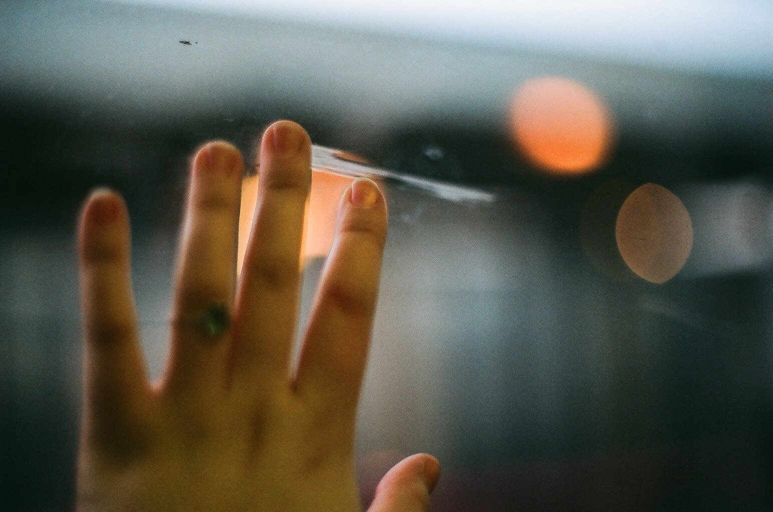 [26370013.JPG]