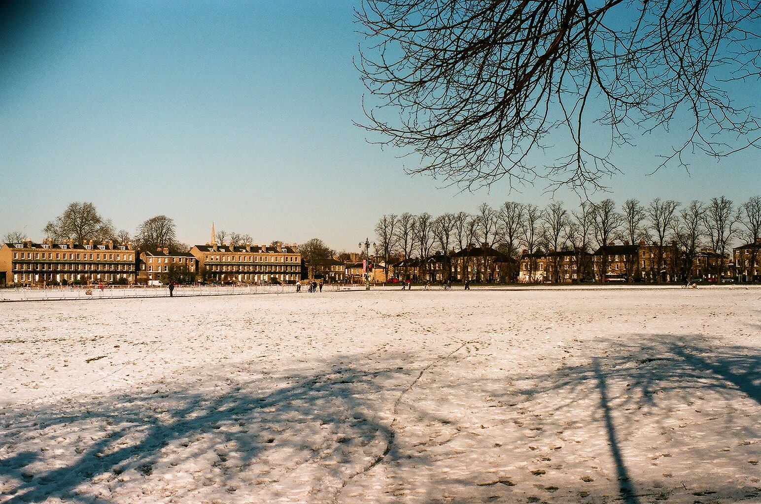 [28260036.JPG]