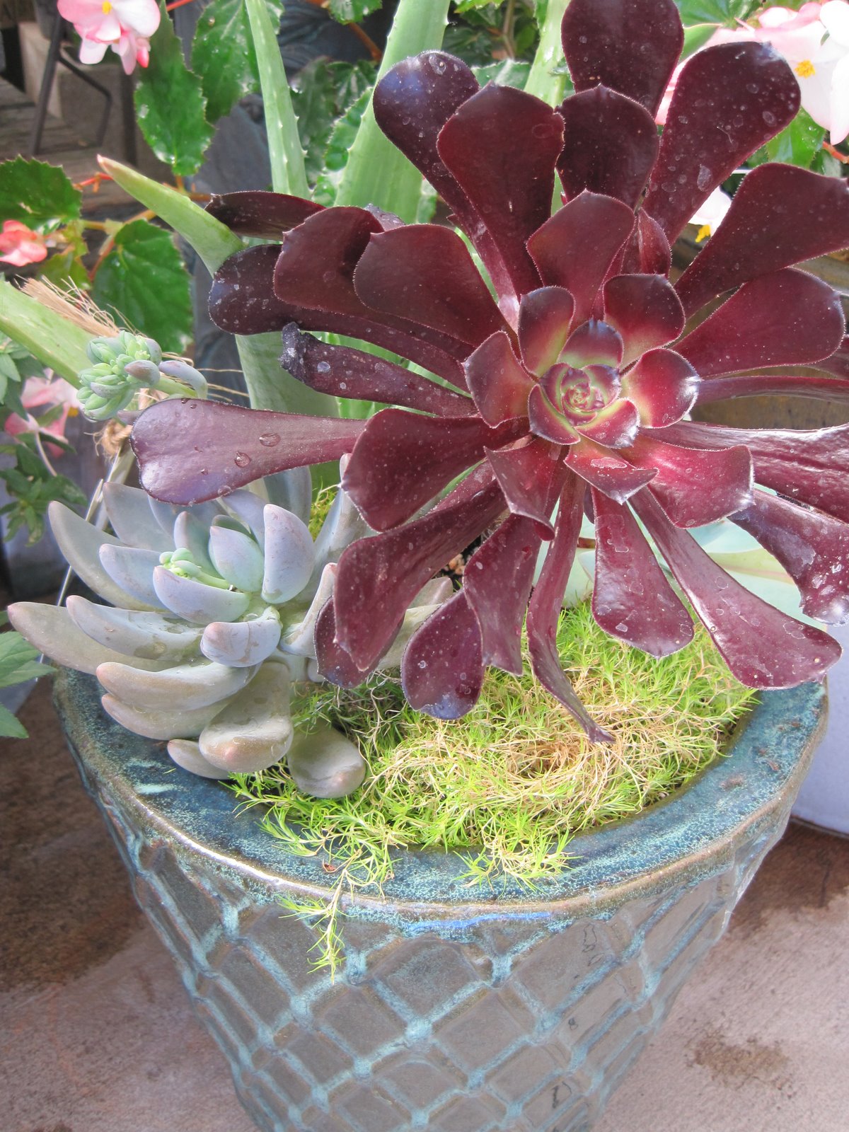 [colorful+container2.JPG]