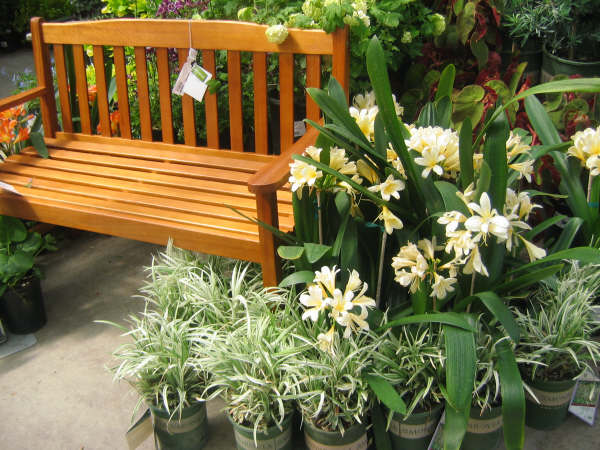 [planters+056.JPG]