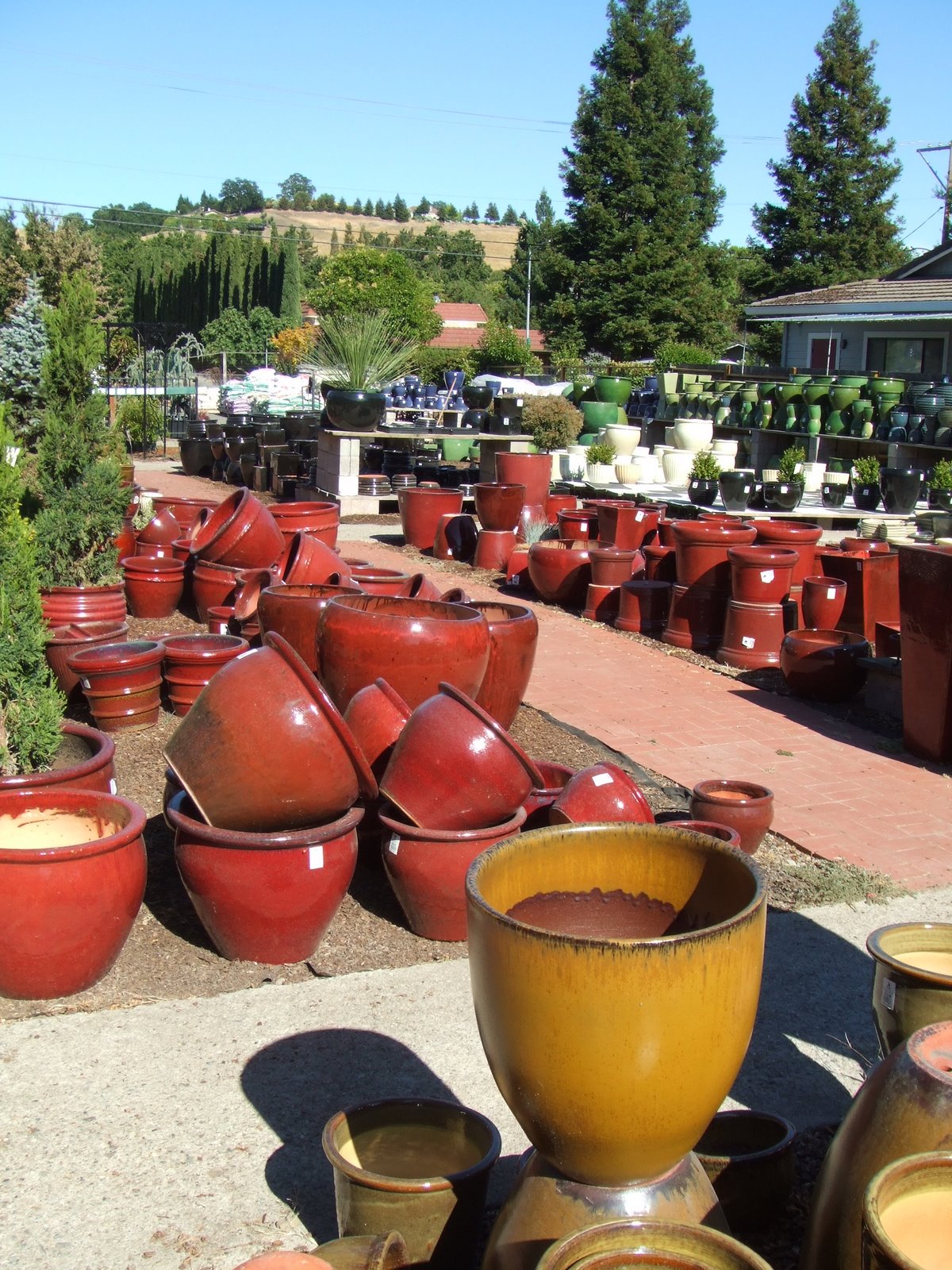 [DSCF2295.JPG]