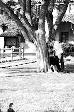 David & Heather sitting in a tree