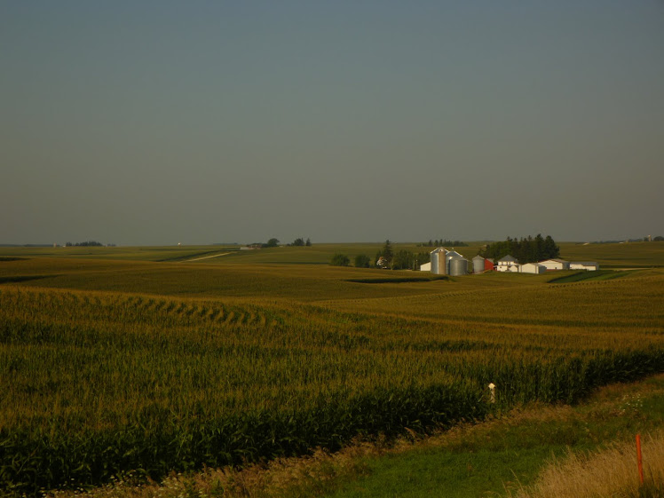 Iowa is corn everywhere