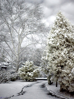 First Snow by Cocoabiscuit on Flickr