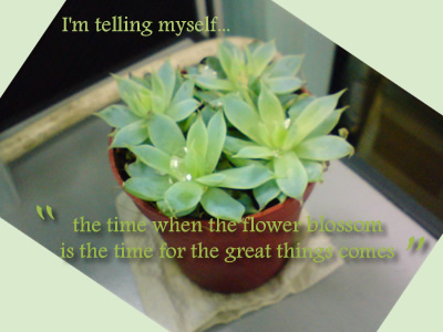 [DSC00703.JPG]