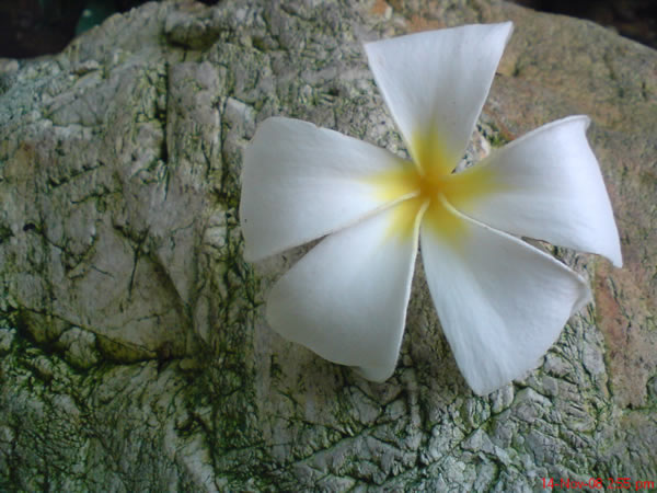 [DSC00987.JPG]