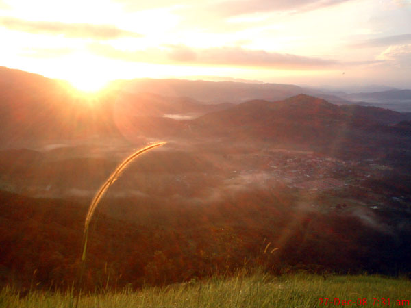 [DSC01426.JPG]