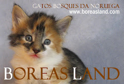 Boreas Land Cattery
