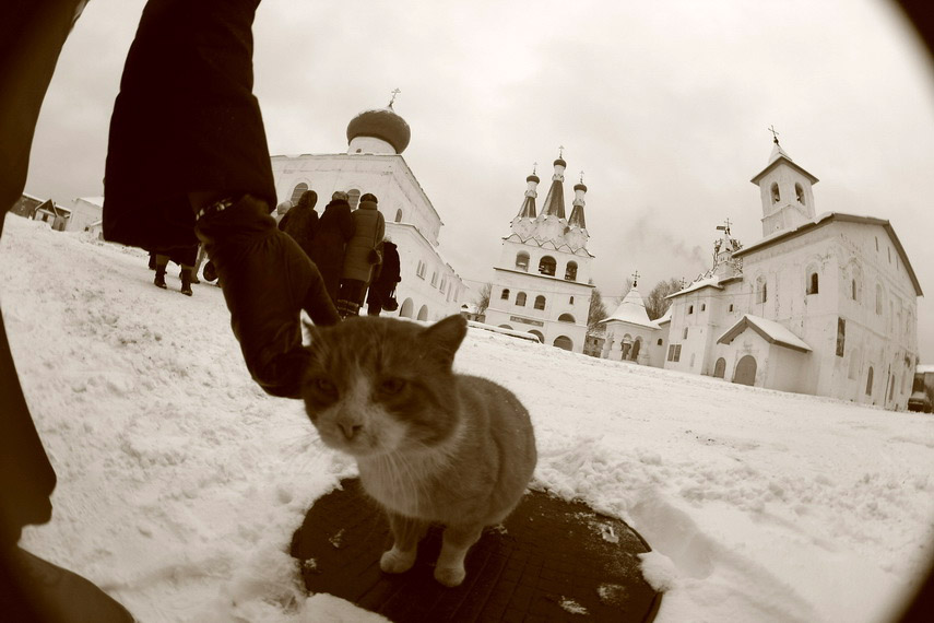 [IMG_147882_resize.JPG]