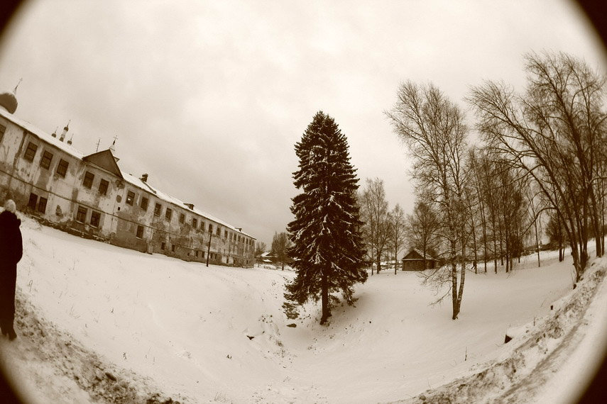 [IMG_147878_resize.JPG]
