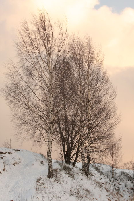 [IMG_153762_resize.JPG]