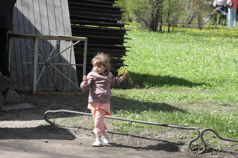 [IMG_169600_resize.JPG]
