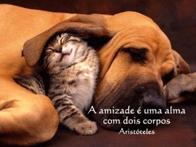 [Amizade.jpg]