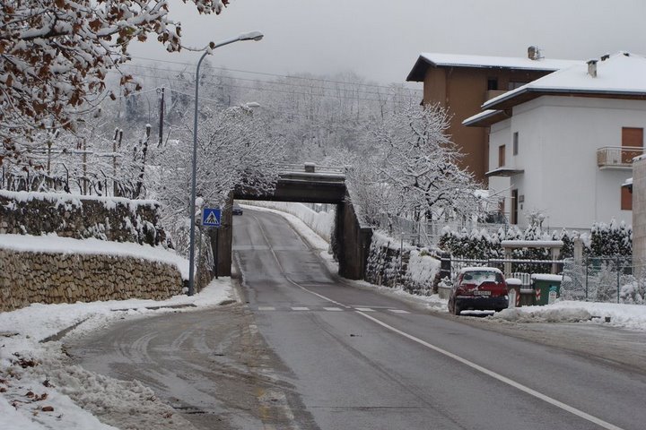 [DSC00148.JPG]