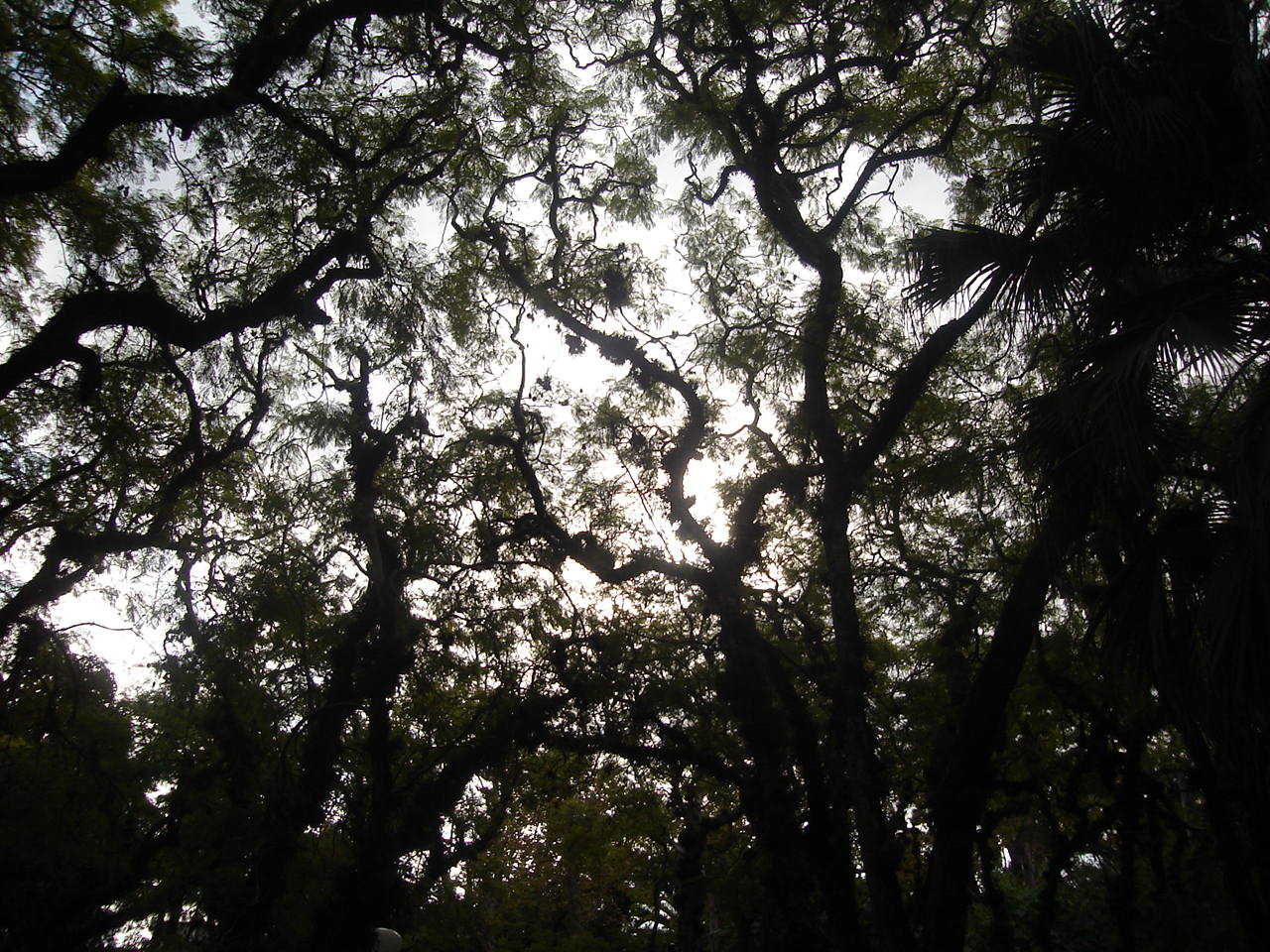 [DSC01118.JPG]