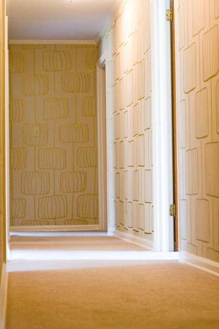 [hallway1.jpg]