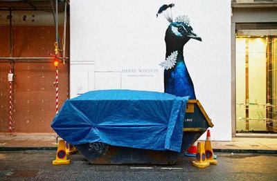 [peacock.jpeg]