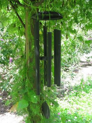 In the Garden: Seeds