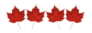 [ist2_934060-leaf-border.jpg]