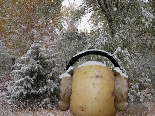 potato in the snow wearing earmuffs